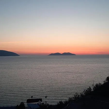 Flower Hill * Vlorë