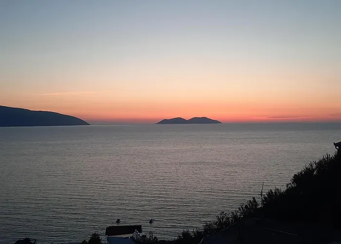 Flower Hill * Vlorë